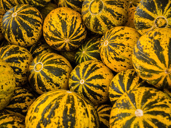 Full frame shot of gourd in market