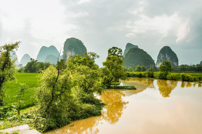 Panoramic view of trees on landscape against sky