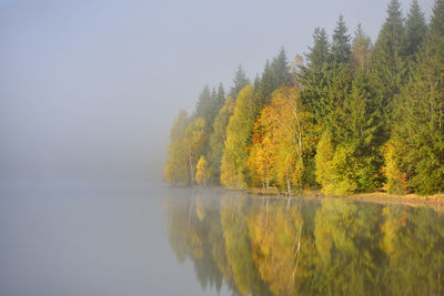Trees by lake against sky during autumn