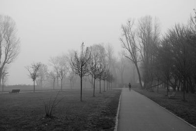Road amidst trees on field against sky