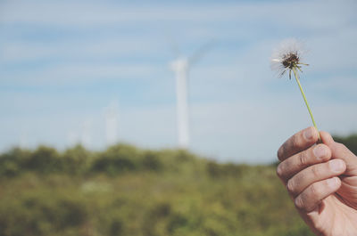 Cropped image of hand holding dandelion against sky