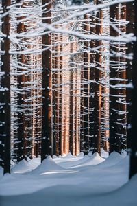 Close-up of snow covered metal structure