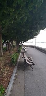 Empty bench by footpath in park