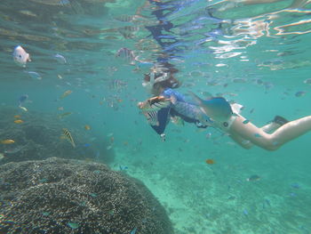 Woman swimming in sea