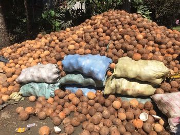 Coconut shells 