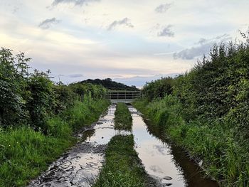 Scenic view of canal amidst trees against sky