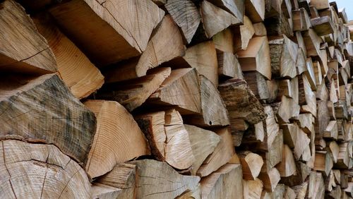 Full frame shot of logs in forest