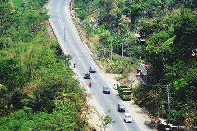 High angle view of cars on road amidst trees