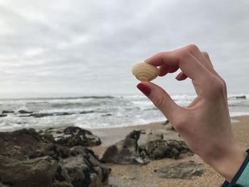 Close-up of woman hand holding seashell at beach against sky