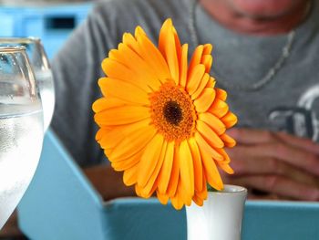 Flower in a vase