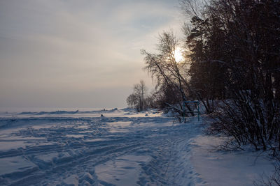 Snow covered land and trees against sky during sunset