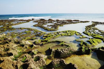 Scenic view of sea against clear sky