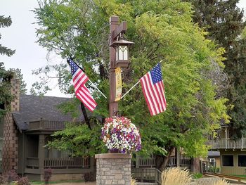 Low angle view of flags hanging on tree outside house