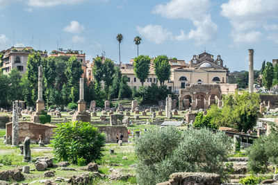 Summer views of the historical ruins of the roman forum. rome, italy. wide angle landscape.