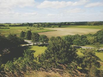 Scenic view of agricultural field against sky