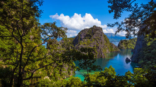 Scenic view of lake and trees against blue sky