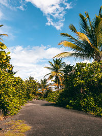 Road amidst trees against sky