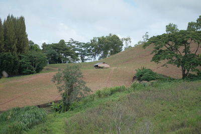 View of horse on field against sky