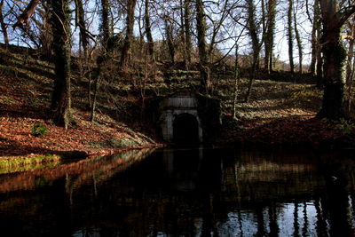 Arch bridge over lake in forest
