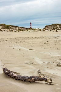 Driftwood on beach by sea against sky