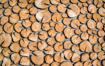 Round teak wood stump