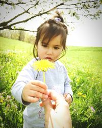 Cropped image of person giving flower to girl at grassy field