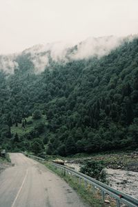 Road amidst trees in forest against sky