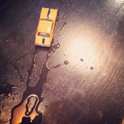 Close-up of yellow flowers