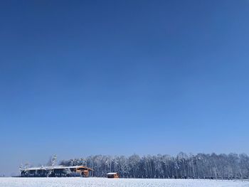 Scenic view of trees against clear blue sky during winter