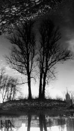Bare trees against sky