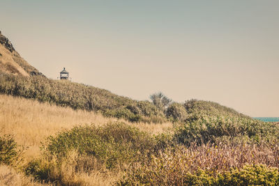 Scenic view of field against clear sky, california 