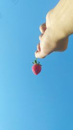 Cropped hand holding strawberry against clear blue sky