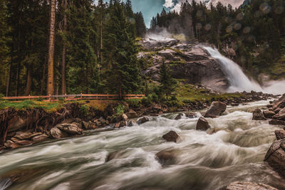 Scenic view of waterfall in forest