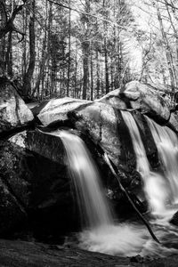 Scenic view of waterfall in forest