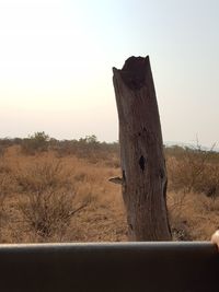 View of wooden post on field against sky