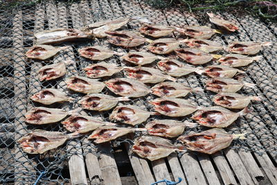 Dry salted fish