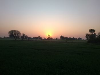 Scenic view of field against clear sky during sunset