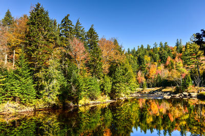 Scenic view of lake by trees against sky