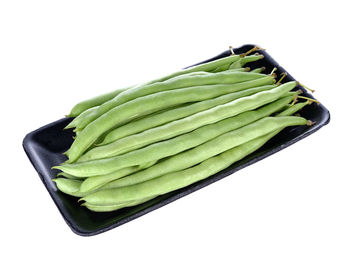 High angle view of green leaf on white background