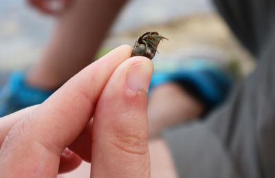 Cropped image of woman hand on finger