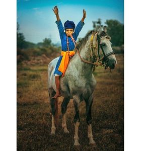 Man riding horse on field