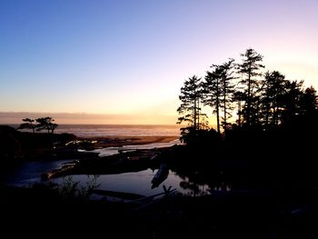 Silhouette trees on beach against clear sky at sunset
