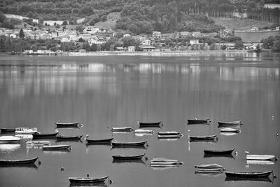 High angle view of sailboats moored at harbor