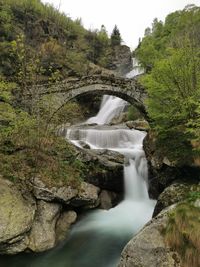 Scenic view of waterfall in forest