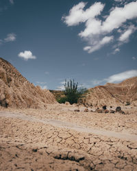 Surface level of desert against sky