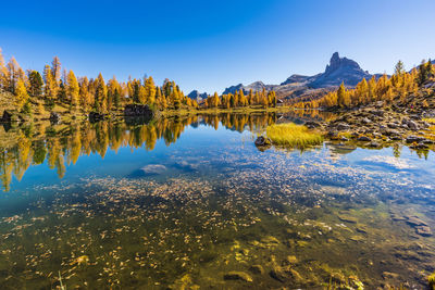 Scenic view of lake by trees against clear blue sky