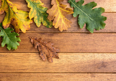 Directly above shot of dry leaves on table