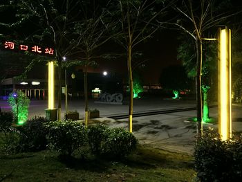 Illuminated text on street at night