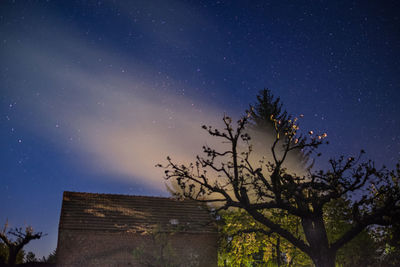 Low angle view of star field against star field