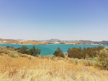 Scenic view of sea against clear blue sky